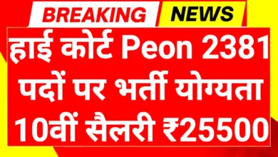 High Court Peon Recruitment 2026: हाई कोर्ट में बंपर भर्ती 10वीं पास और ग्रेजुएट्स के लिए सरकारी नौकरी का शानदार मौका 4 High Court Peon Recruitment 2026