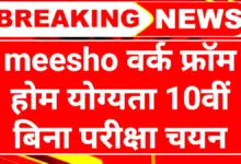 घर बैठे पैसे कमाने का बेस्ट तरीका: Meesho Work From Home 2025 (बिना एक रुपया लगाए) 15 Meesho Work From Home 2025