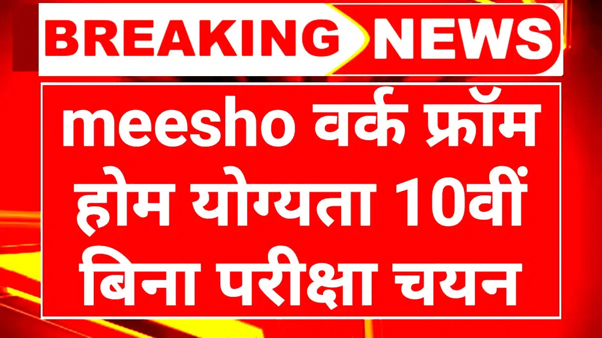 घर बैठे पैसे कमाने का बेस्ट तरीका: Meesho Work From Home 2025 (बिना एक रुपया लगाए) 1 Meesho Work From Home 2025