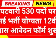 Patwari Recruitment 2026: पटवारी 530 पदों पर भर्ती योग्यता 12वीं पास 3 Patwari Recruitment 2026