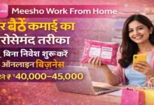 Meesho Work From Home 2026